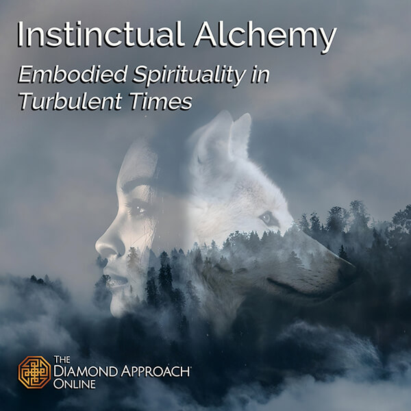 OW-IA-FA24-square-square-ev@1x