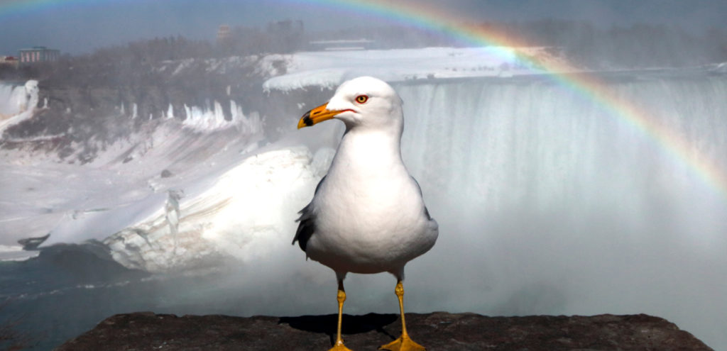 transformation realization self